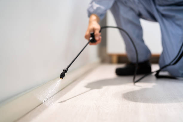 Certified termite inspector examining foundation in Munsons Corners