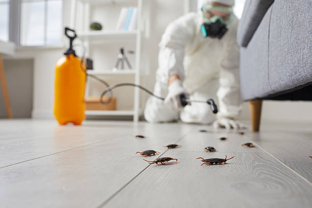 Post-Treatment Bed Bug Interceptor Monitoring in Munsons Corners