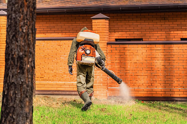 Bed Bug Clearance Verification and Documentation in Munsons Corners